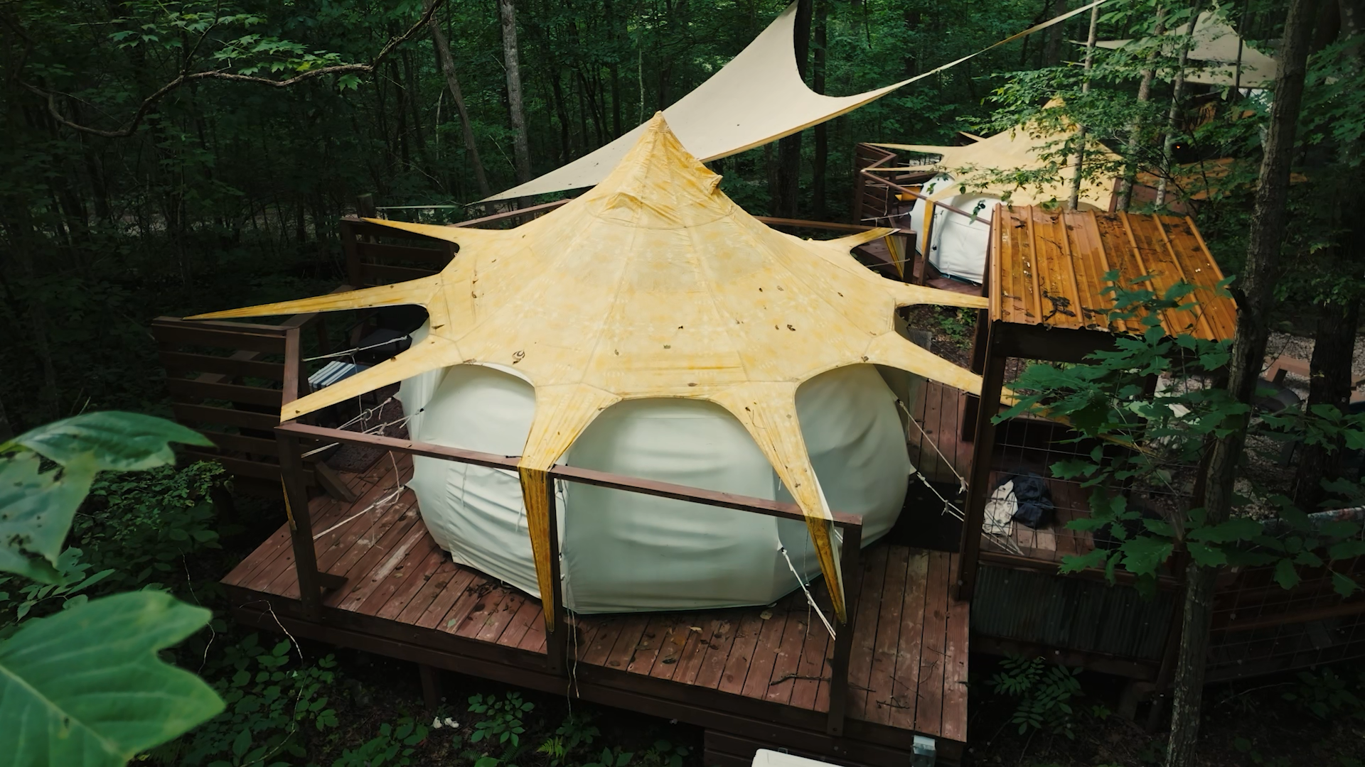 The Hive